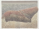 Artist: Hall, Rita | Title: Horse rug | Date: 1996 | Technique: linocut, printed in colour, from multiple blocks | Copyright: © Rita Hall