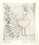 Artist: Brash, Barbara. | Title: Peacock. | Date: 1950s | Technique: etching and aquatint, printed in black ink, from one plate