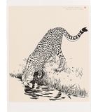 Artist: ROSE, David | Title: Cheetah drinking | Date: 2002 | Technique: screenprint, printed in colour, from two screens