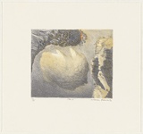Artist: Robinson, William. | Title: Cloud | Date: 1992 | Technique: lithograph, printed in colour, from multiple plates