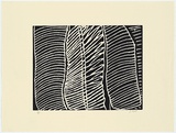 Artist: Pike, Jimmy. | Title: Mirnmirt | Date: 1985 | Technique: screenprint, printed in black ink, from one stencil; from linocut original