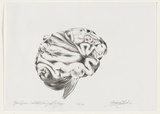 Artist: Tritton-Young, Maxienne. | Title: Brain species I. Aristotle's pre-requisite for reason | Date: 1986, November | Technique: lithograph, printed in black ink, from one stone