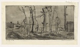 Artist: WILLIAMS, Fred | Title: Tree pruning | Date: 1955-56 | Technique: etching and foul biting, printed in black ink with plate-tone, from one brass plate | Copyright: © Fred Williams Estate