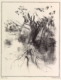 Artist: Cooke, Warren. | Title: not titled [tree in river] | Date: 2001, 30 June | Technique: lithograph, printed in black ink, from one stone