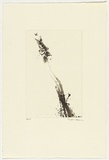 Artist: Law, Roger. | Title: Not titled [fish catching insect]. | Date: 2005 | Technique: aquatint, printed in black ink, from one plate