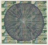Artist: HALL, Fiona | Title: Nelumbo nucifera - Lotus (Cambodian currency) | Date: 2000 - 2002 | Technique: gouache | Copyright: © Fiona Hall