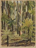 Artist: PRESTON, Margaret | Title: Fern trees, Laura. | Date: 1946 | Technique: monotype, printed in colour, from one masonite sheet | Copyright: © Margaret Preston. Licensed by VISCOPY, Australia