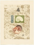 Artist: GRIFFITH, Pamela | Title: Chambered Nautilus | Date: 1986 | Technique: hard ground, aquatint, soft ground, marbelling on two zinc | Copyright: © Pamela Griffith