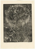 Artist: GRIFFITH, Pamela | Title: Night watch | Date: 1980 | Technique: etching, soft ground, spray resist, printed in black ink, from one zinc plate | Copyright: © Pamela Griffith
