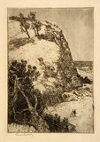 Artist: LINDSAY, Lionel | Title: Austinmer | Date: c.1919 | Technique: etching and aquatint, printed in brown ink with plate-tone, from one plate | Copyright: Courtesy of the National Library of Australia