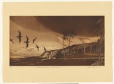 Artist: GRIFFITH, Pamela | Title: Mutton birds return to the roost | Date: 1984 | Technique: hardground-etching and aquatint, printed in brown ink, from one zinc plate | Copyright: © Pamela Griffith