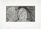 Artist: Cherel, Kumanjayi (Butcher). | Title: Ant beds and fallen stick | Date: 1995, October-November | Technique: etching, printed in black ink, from one plate