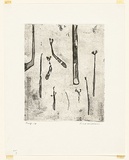 Artist: WILLIAMS, Fred | Title: Ferns. Number 2 | Date: 1971 | Technique: aquatint, rough biting, etching, engraving, electric hand engraving to roulette on lavis, printed in black ink, from one zinc plate | Copyright: © Fred Williams Estate
