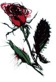 Artist: Gibbs, Marcia. | Title: Red Roses (small) [recto] | Date: 1990 | Technique: screenprint, printed in red, green and black ink, from three stencils