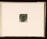 Artist: Mann, Gillian. | Title: (Female lower torso). | Date: 1981 | Technique: etching, printed in black ink, from one plate