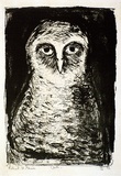 Artist: Grieve, Robert. | Title: Owl | Date: 1955 | Technique: lithograph, printed in black ink, from one stone