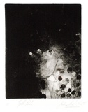 Artist: Shepherdson, Gordon. | Title: The second plate (The bull plate). 10 | Date: 1977 | Technique: drypoint, printed as monotype, from one plate