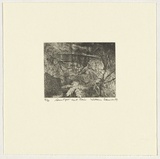 Artist: Robinson, William. | Title: Sunlight and rain | Date: 1999 | Technique: etching, printed in black ink, from one plate