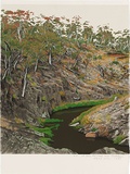 Artist: ROSE, David | Title: At Iron Pot Creek near Jindabyne | Date: 1993 | Technique: screenprint, printed in colour, from multiple stencils