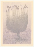 Artist: Johnstone, Ruth. | Title: Lavender for remaining chaste | Date: 1998, August | Technique: lithograph, printed in colour, from two stones