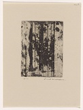 Artist: WILLIAMS, Fred | Title: Landscape panel. Number 6 | Date: 1962 | Technique: aquatint, drypoint and engraving, printed in black ink, from one copper plate | Copyright: © Fred Williams Estate