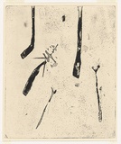 Artist: WILLIAMS, Fred | Title: Ferns. Number 1 | Date: 1971 | Technique: aquatint, foul biting, flat biting, engraving, electric hand engraving, roulette and scraper, printed in black ink, from one zinc plate | Copyright: © Fred Williams Estate