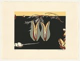 Artist: Campbell, Cressida. | Title: Seeds | Date: 1995 | Technique: screenprint, printed in colour, from four stencils