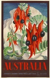 Artist: Mayo, Eileen. | Title: Australia (Sturt's Desert Pea). | Date: 1957 | Technique: offset-lithograph, printed in colour, from multiple plates