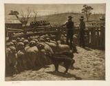 Artist: LINDSAY, Lionel | Title: Drafting sheep | Date: 1947 | Technique: etching and foul biting, printed in warm black ink, from one plate | Copyright: Courtesy of the National Library of Australia