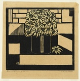 Artist: PRESTON, Margaret | Title: Flannel flowers | Date: 1929 | Technique: woodcut, printed in black ink, from one block; hand-coloured | Copyright: © Margaret Preston. Licensed by VISCOPY, Australia
