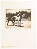 Artist: PLATT, Austin | Title: Garnet Rocks horses | Date: 1949 | Technique: etching, printed in black ink, from one plate