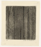 Artist: WILLIAMS, Fred | Title: Sherbrooke Forest. Number 4 | Date: 1962 | Technique: aquatint and engraving, printed in black ink, from one zinc plate | Copyright: © Fred Williams Estate
