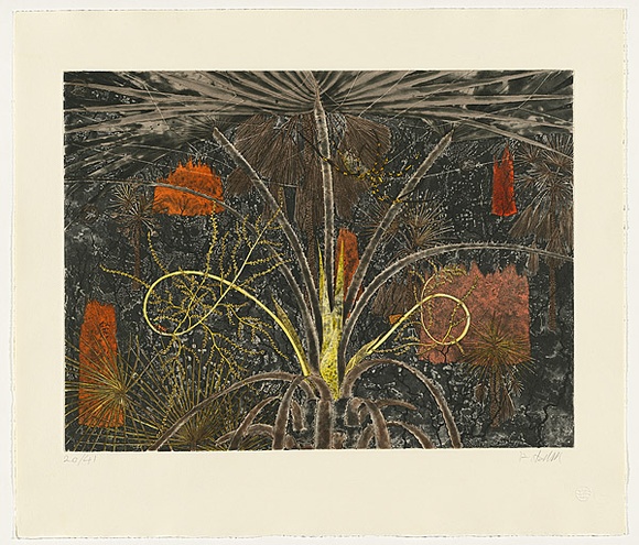 Title: Fan Palm - Dhalpi | Date: 2010 | Technique: etching, printed in colour, from six plates