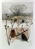 Artist: GRIFFITH, Pamela | Title: Fire and rebirth in the bush | Date: 1989 | Technique: hardground-etching and aquatint, printed in colour, from two copper plates; additional hand-tinting | Copyright: © Pamela Griffith