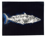 Artist: Shepherdson, Gordon. | Title: The Mackerel: Number five | Date: 1979 | Technique: etching and aquatint, printed in colour with plate-tone, from one plate