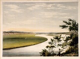 Artist: Angas, George French. | Title: The River Murray, near Lake Alexandrina. | Date: 1846-47 | Technique: lithograph, printed in colour, from multiple stones; varnish highlights by brush