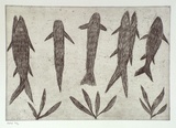 Artist: Jirwulurr Johnson, Amy. | Title: not titled (fish) | Date: 2000, November | Technique: etching, printed in black ink, from one plate