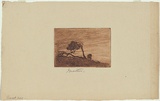 Artist: Mather, John. | Title: Sheoak Hill. | Date: 1898 | Technique: etching, printed in brown ink with plate-tone, from one plate
