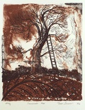 Artist: Jones, Tim. | Title: Samuel's tree | Date: 1995, April - May | Technique: lithograph, printed in colour, from two stones