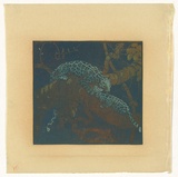 Artist: GRIFFIN, Murray | Title: Chestnut Teal. | Date: by 1969 | Technique: linocut printed in four colour from three blocks,