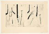 Artist: WILLIAMS, Fred | Title: Ferns diptych. Number 2 | Date: 1971 | Technique: aquatint, foul biting, flat biting, engraving, rough biting, etching, electric hand engraving tool, printed in black ink, from two zinc plates | Copyright: © Fred Williams Estate