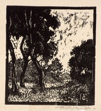 Artist: Reynolds, Frederick George. | Title: (Trees in a landscape) | Date: c.1929 | Technique: woodcut, printed in black ink, from one block