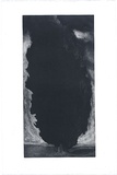 Artist: Johnstone, Ruth. | Title: Cypress III | Date: 1986 | Technique: etching, printed in black ink, from one plate