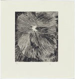 Artist: ROGERS, Molly | Title: Landscape. | Date: 1994 | Technique: drypoint, printed in black ink, from one plate