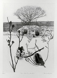 Artist: GRIFFITH, Pamela | Title: Fire and rebirth in the bush | Date: 1989 | Technique: hardground-etching and aquatint, printed from one copper plate | Copyright: © Pamela Griffith