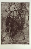 Artist: Waters, Lydia. | Title: Black narcissus | Date: 1991 | Technique: etching, printed in black ink, from one plate