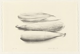 Artist: Pilgrim, Catherine. | Title: not titled [sweetcorn] | Date: 2000 | Technique: lithograph, printed in black ink, from one stone