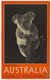 Artist: UNKNOWN | Title: Koala, Australia | Date: (1930s) | Technique: photo-lithograph, printed in colour