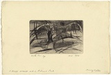 Artist: WALKER, Murray | Title: A blasted ancient oak in Richmond Park | Date: 1960 | Technique: drypoint, printed in black ink, from one plate