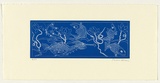 Artist: Law, Roger. | Title: Not titled [one seahorse, three fish and one butterfly in blue]. | Date: 2005 | Technique: etching, printed in blue ink, from one plate